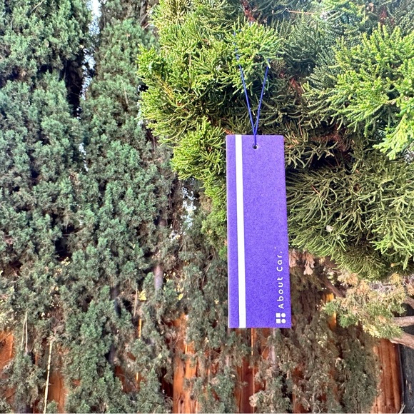 About Car Air Freshener | 24 Count (Pack of 1) | Dreamscape - Picture 5 of 6